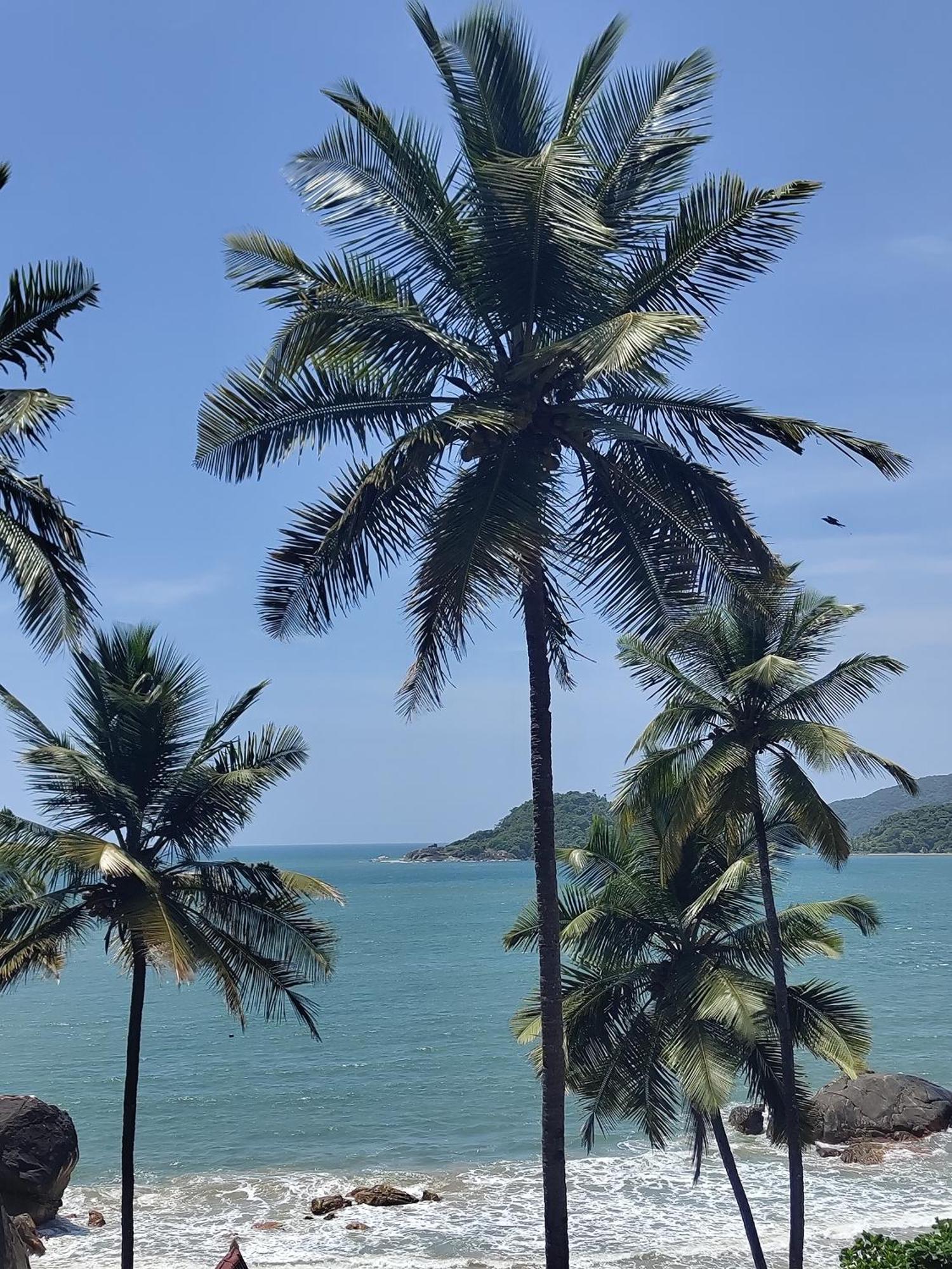 Hilltop Seaview Palolem Goa Hotel Bagian luar foto