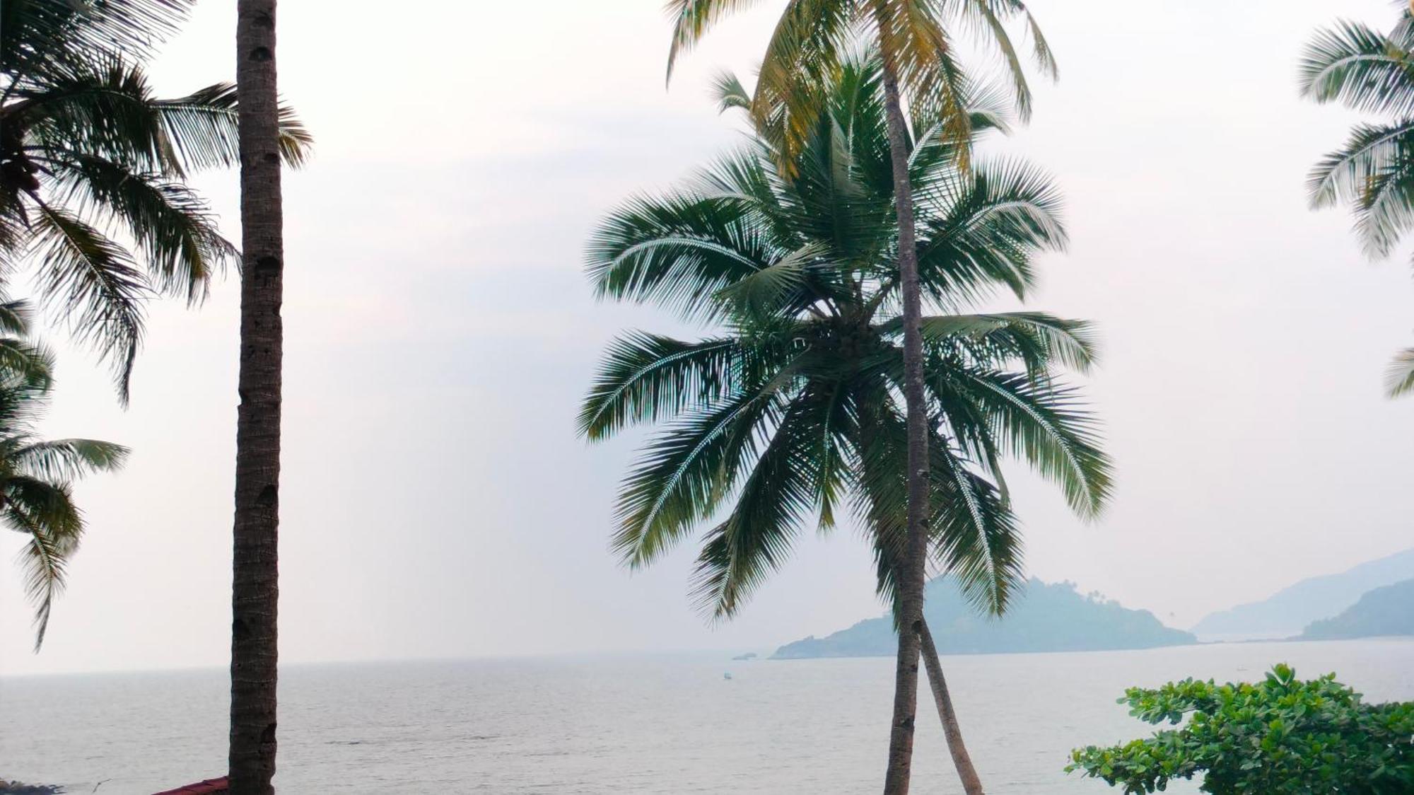 Hilltop Seaview Palolem Goa Hotel Ruang foto